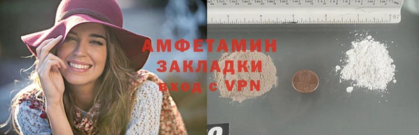 индика Абаза