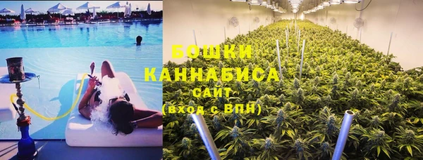 индика Абаза