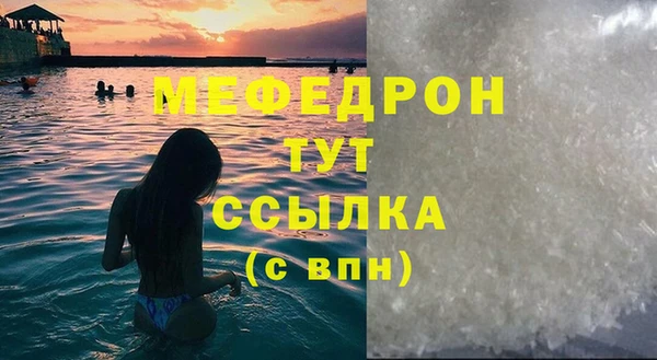 индика Абаза