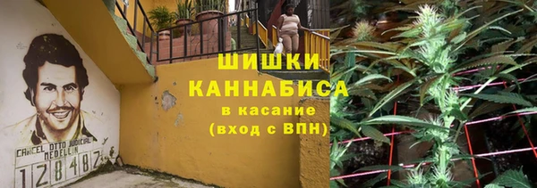 индика Абаза