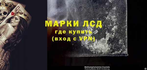 индика Абаза