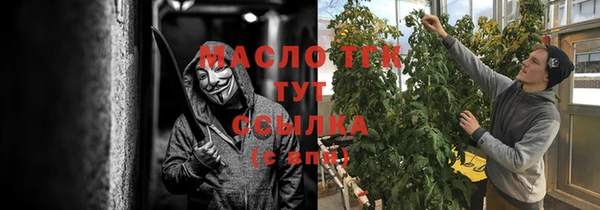 индика Абаза